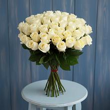 Букет 51 Белая роза Эдлесс Лав #REPLACE_PRED# Жигалово