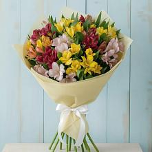 Букет цветов из:  Альстромерии #REPLACE_PRED# Жигалово