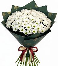 Букет цветов из:  Хризантемы в Жигалово