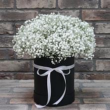Цветочная композиция из Гипсофила в шляпной коробке в Жигалово
