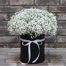 Цветочная композиция из Гипсофила в шляпной коробке в Жигалово