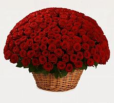 Премиум букет из: Розы в Жигалово