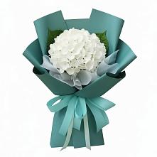 Букет цветов из:  Гортензия в Жигалово